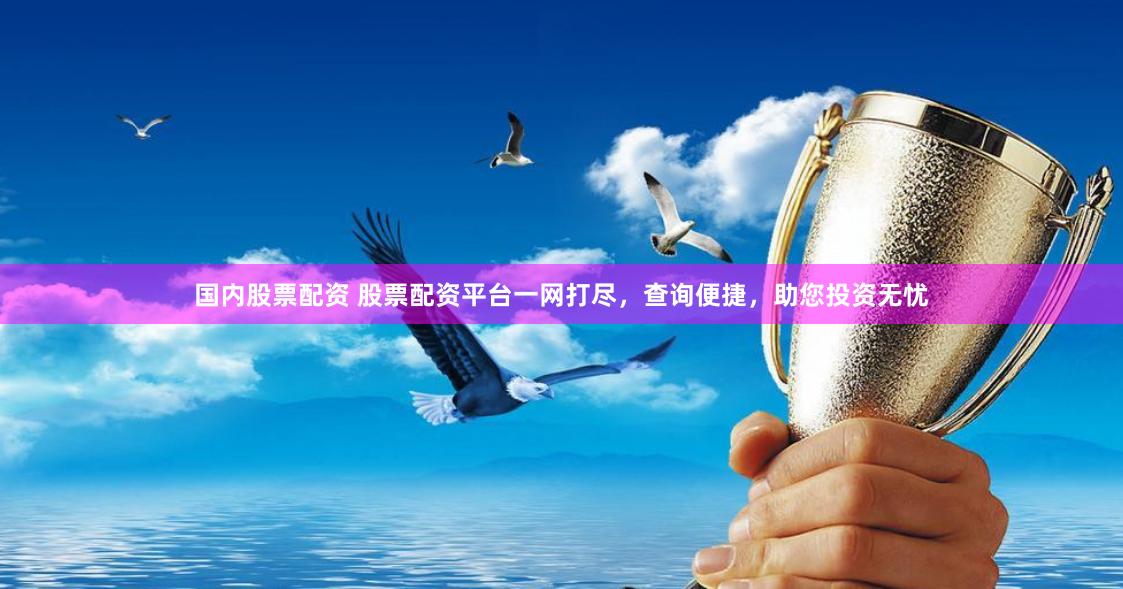 国内股票配资 股票配资平台一网打尽，查询便捷，助您投资无忧