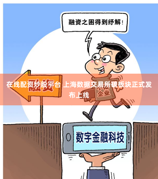 在线配资炒股平台 上海数据交易所碳板块正式发布上线