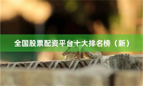 全国股票配资平台十大排名榜(新)